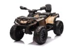 CAN-AM Outlander 2-zitter, 4x4, 24 volt Quad, rubberen banden, leder zitje