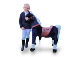 MY PONY, rijdend speelgoed paard van ROLLZONE ®, 4 - 10 jaar (MP2003-M) - Afbeelding 6