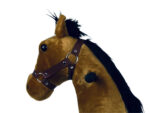 MY PONY, rijdend speelgoed paard van ROLLZONE ®, 4 - 10 jaar (MP2007-M) - Afbeelding 5
