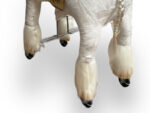 MY PONY, rijdend speelgoed unicorn van ROLLZONE ®, 3 - 6 jaar (MP2041-S) - Afbeelding 6